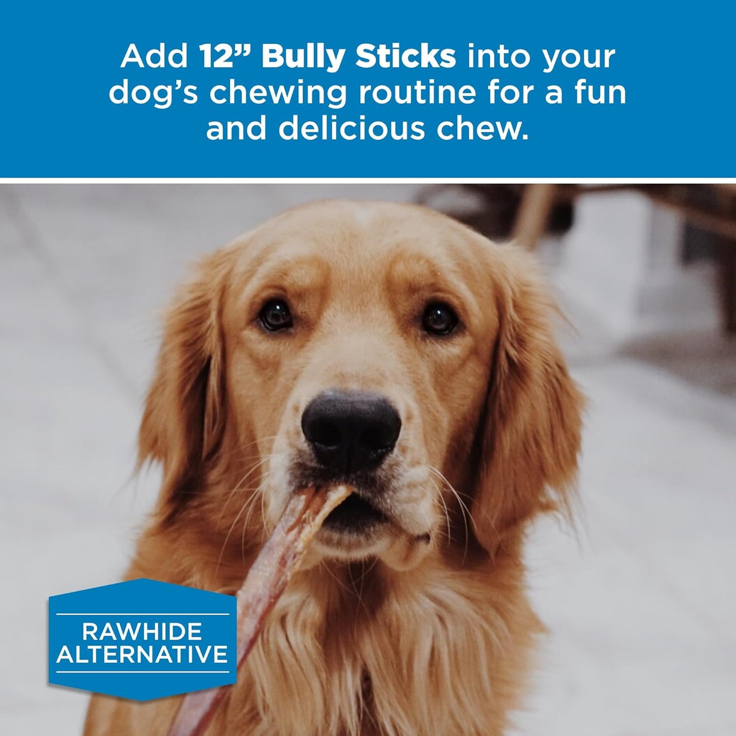 Best Bully Sticks 12 Inch Bully Sticks for Dogs - 12 Count (Pack of 1) - Natural, Easily Digestible, 100% Grass-Fed Beef, Grain and Rawhide Free