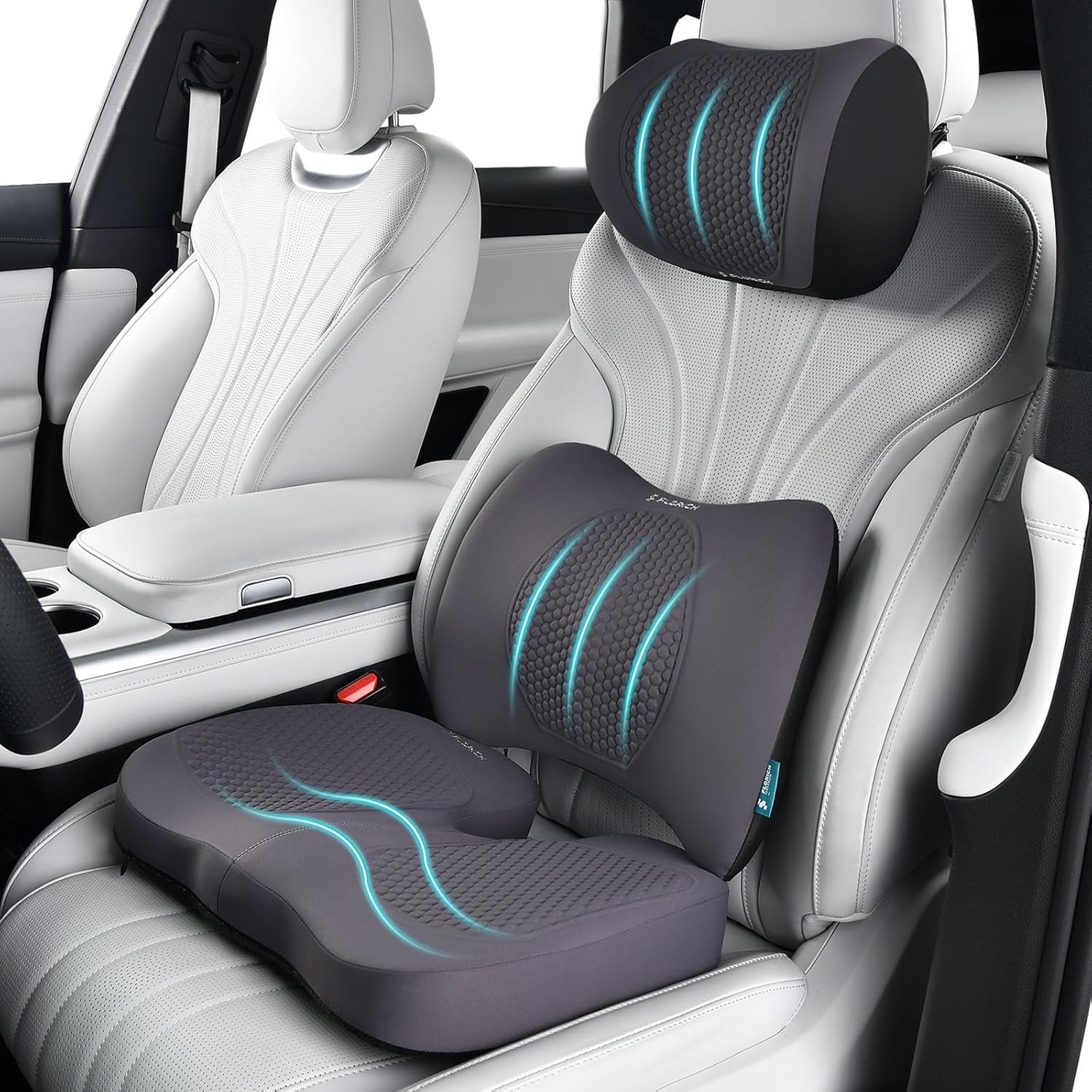 Seat Covers & Accessories