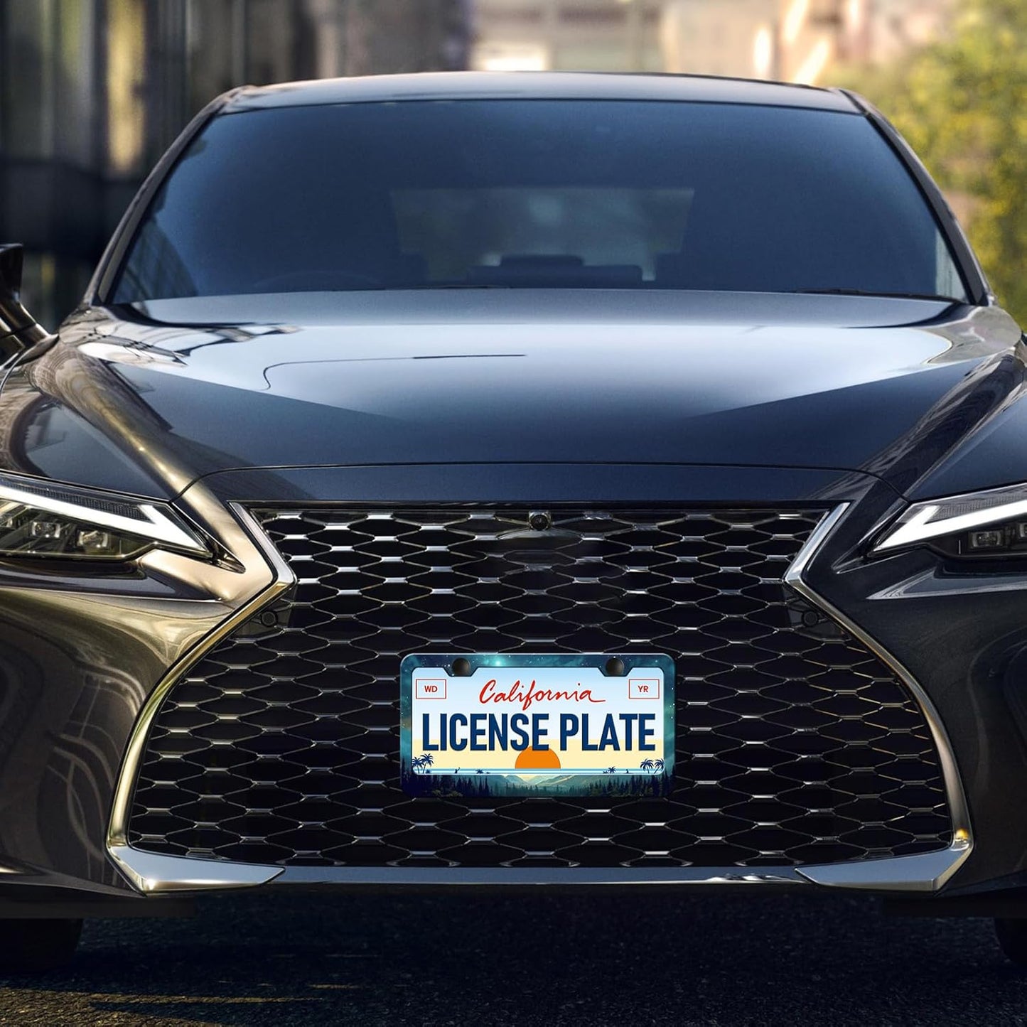 Starry Sky Mountain License Plate Frames - 2 Pack Green Mountain Forest Stainless Steel License Plate Holder,Rust-Proof Waterproof Car Decorative Tag Frame with Screws Fasteners Caps