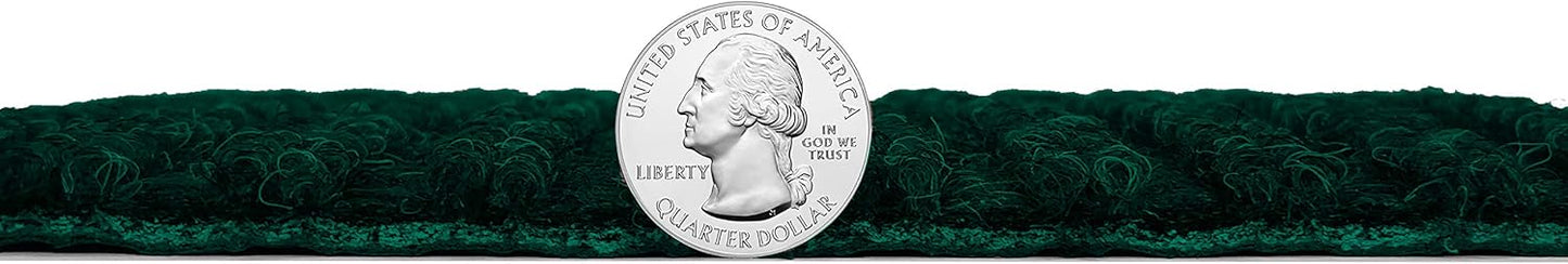 KOECKRITZ Heavy Duty Durable All Weather Indoor/Outdoor Non Slip Entrance Mat Rugs and Runners for Office Business Building Home Garage Front Door (3' x 5', Green)