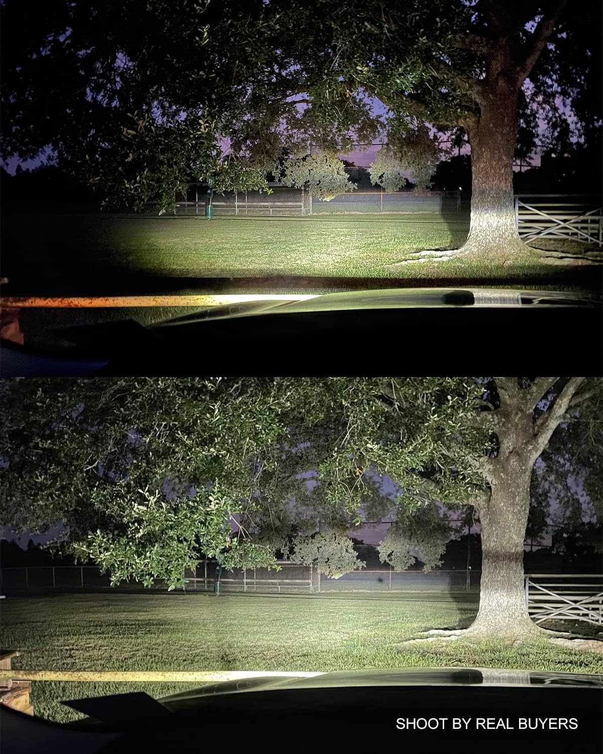 H11/H8/H16 LED Driving Fog Light Bulbs, 12000LM 400% Brighter Fanless, 6500K Cool White Driving Fog Lights, Play and Plug, Halogen Replacement Bulbs for Cars, Trucks, SUVs (Pack of 2)