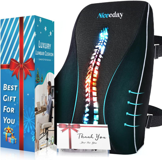 Lumbar Support Pillow for Office Chair Car, Gaming Chair Lower Back Pain Relief Memory Foam Cushion with Greeting Card,3D Mesh Cover Ergonomic Back Rest, Birthday Gift Father‘s Day Gifts for Dad