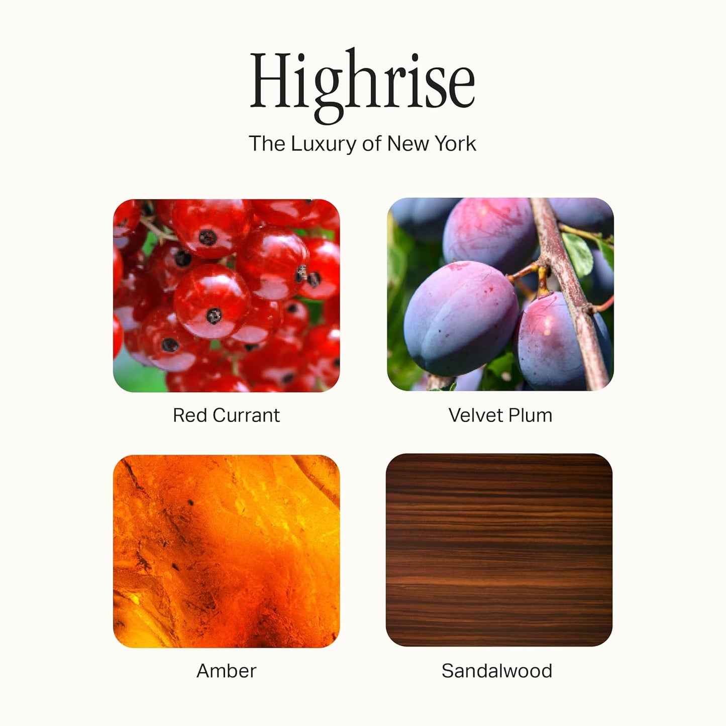 The All Purpose Cleaner Multi Surface Spray, Lifts Away Dirt, Smudges & Grease