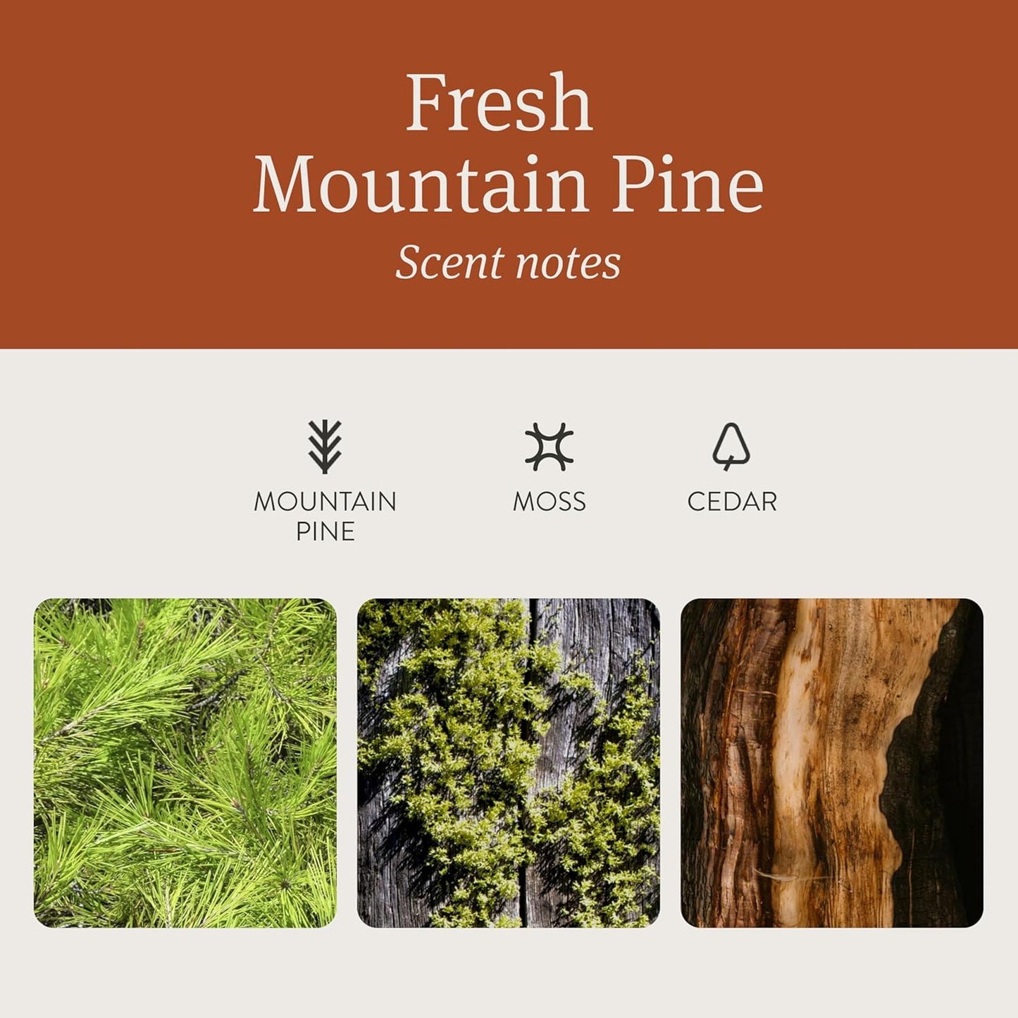 Drift Car Air Freshener - Wood Air Freshener - Car Odor Eliminator - Pine Scent Starter Kit