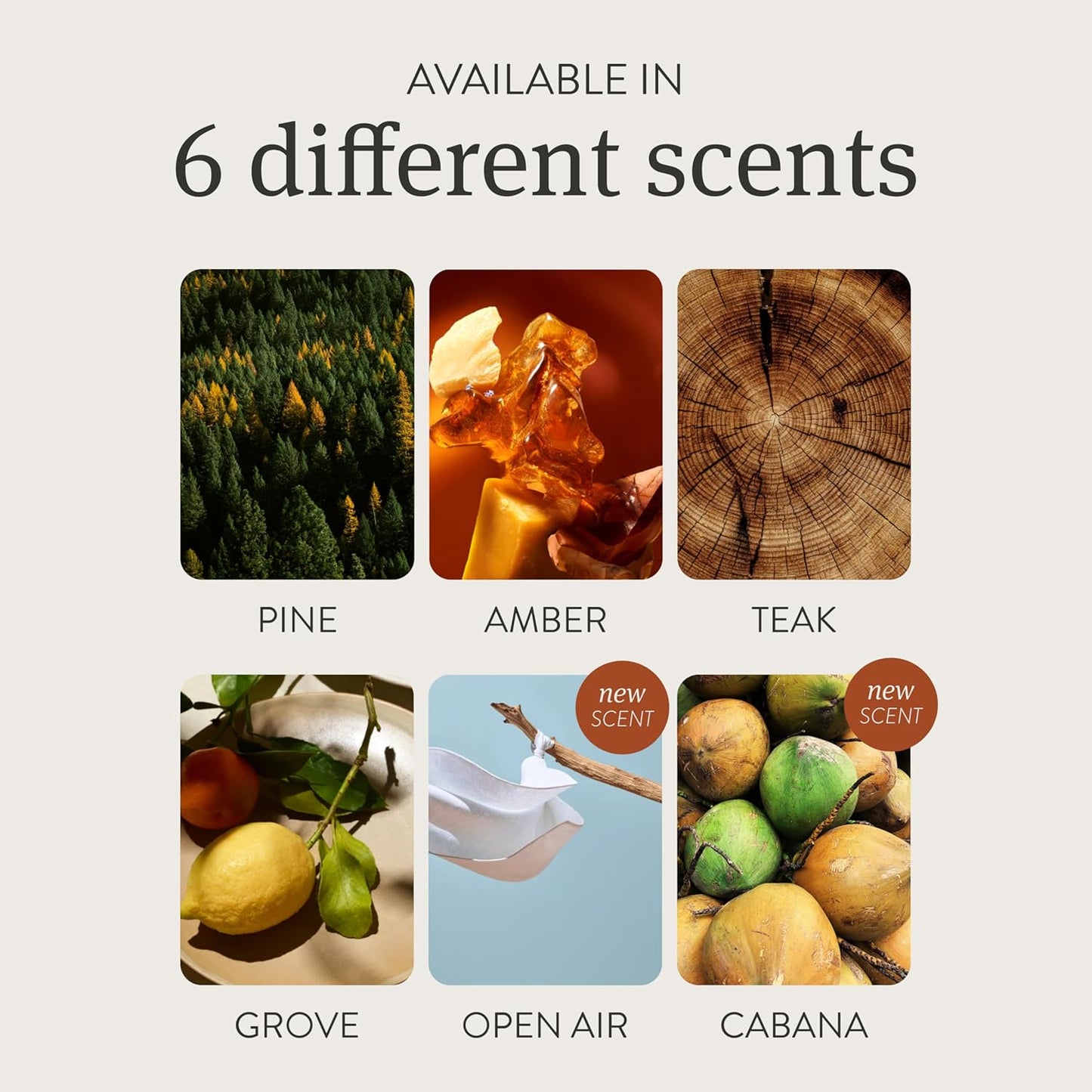 Drift Car Air Freshener - Wood Fragrance - Automotive Odor Eliminator - Car Fresheners Long Lasting - Open Air Scent Refill - Pack of 3 - NO CLIP INCLUDED