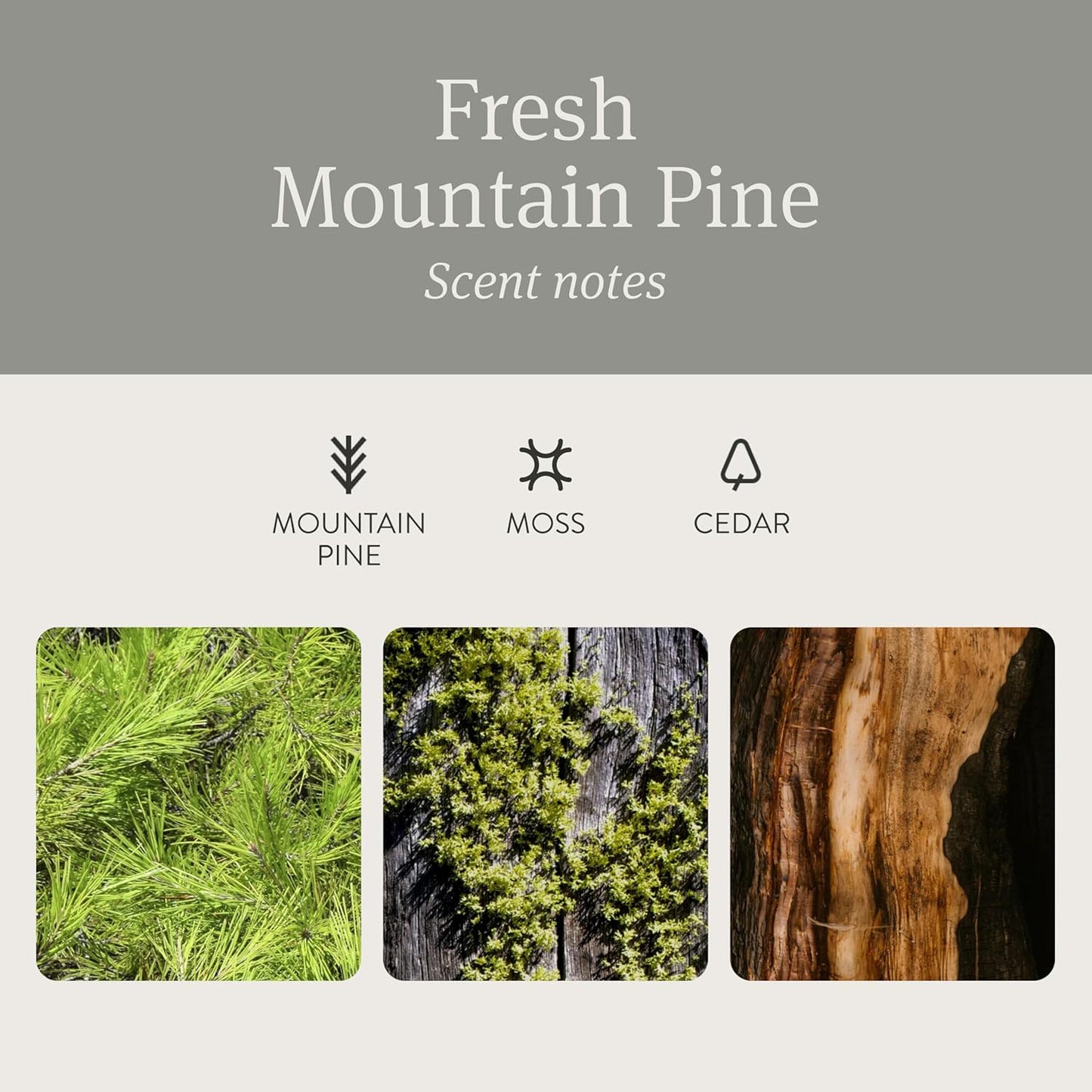 Drift Car Air Freshener - Stone Air Freshener - Car Odor Eliminator - Pine Scent Refill - NO CLIP INCLUDED